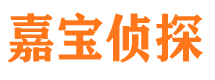 沧浪侦探公司